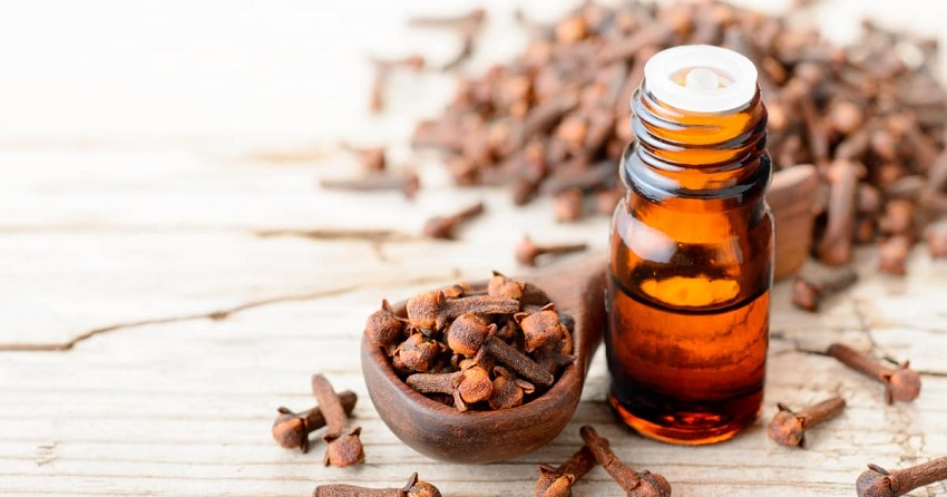 What Does Clove Oil Attract
