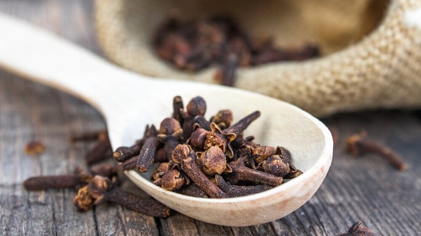 What Does Clove Oil Attract: Attraction to Soothing Effects