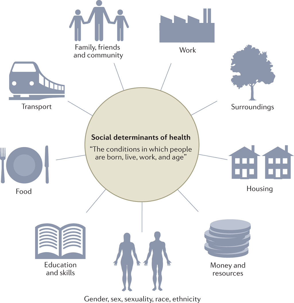 How social determinants of health affect life?